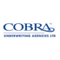 cobra-insurance-providers