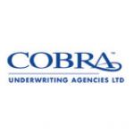 cobra-insurance-providers