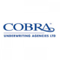 cobra-insurance-providers
